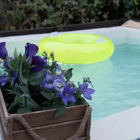 Semesterbostad Dandy - Blue Pansy - Mini Pool *