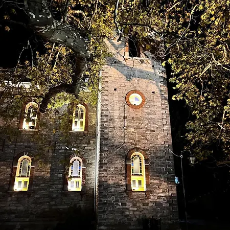 Dandy - Blue Pansy - Mini Pool Semesterbostad *